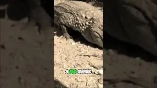 Giant Crocodile Purussaurus Biggest Bite in History! #horror #creepy #terrifyingtales
