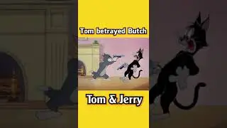 Tom betrayed Butch | Tom and Jerry | Tom and Jerry 2021 #shorts