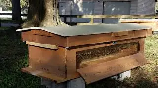 Hybrid Cedar Top Bar Langstroth Hives