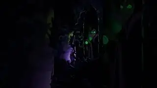 Disneyland Castle Tour Highlights #maleficent #sleepingbeauty #castle #disneyland