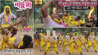 নাটুয়া নাচ | পাঁড়দ্দা হরিজন নাটুয়া নৃত্য | ওস্তাদ স্বর্গীয় হাড়িরাম কালিন্দী | Natua Nach Purulia