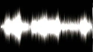 PLASTIC ZIPPER LONG | SOUND EFFECT
