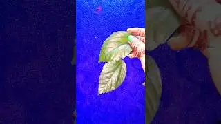 HOW TO MAKE PEACOCK LEAF FROM LEAF @Devjani Arts&Crafts #leafcraft #artandcraft #dryleafart #art
