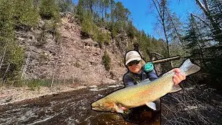Fly Fishing for Great Lakes STEELHEAD in the Remote North Woods: Spring Steelhead Series Part 3