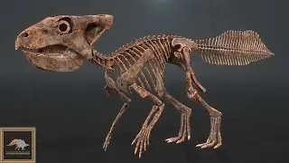 koreaceratops  turntable
