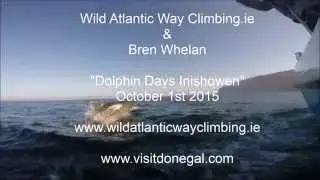 Donegal Climbing - Captures Dolphins Swimming, Malin Head, County Donegal, Ireland