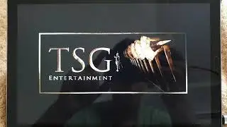 20th Century Fox TSG Entertainment Chernin Entertainment 2017