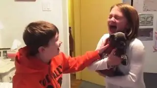 Christmas Puppy Surprise 2016 - 2017 [NEW]