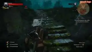 Witcher 3 - Помощь Ворожею в ритуале