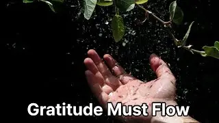 Gratitude Is Not Meant to Be Repaid