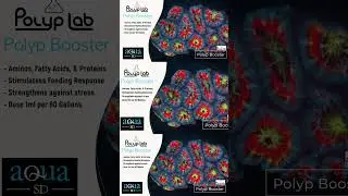 Aqua SD Youtube Video #21 - Polyplab #shorts