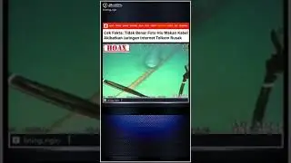 yang viral ikan hiu ternyata #HOAX #hoaxs #hiu #jejaksejarah #ojogumunan #ojokagetan