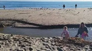 Capitola Beach 