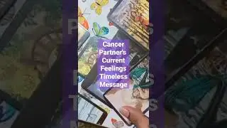 Cancer Partner's Current Feelings Timeless Message