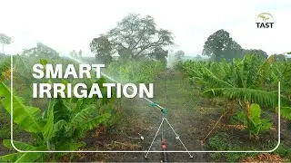 why sprinkler irrigation is best in my farm_yuzuak JET 40 Rain gun