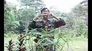 Martin BONG   Harmonica   坡兰园舞曲 （5）