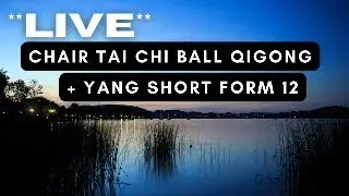 Live Chair Tai Chi Ball Qigong + Yang Short Form 12 | Gentle Movement for Balance & Calm #live