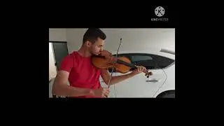 Viola Andrea Guarneri 