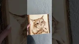 Портрет кота. Выжигание на дереве #woodburning #выжиганиеподереву #выжигание #пирография #портрет