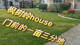 温哥华枫树岭HOUSE门前的一亩三分地