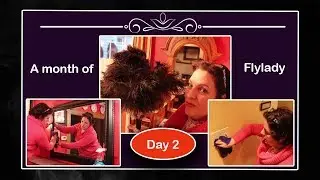 ⏱️  A Month of FlyLady Cleaning and Decluttering || 02/02/19  || Day 2 ⏱️