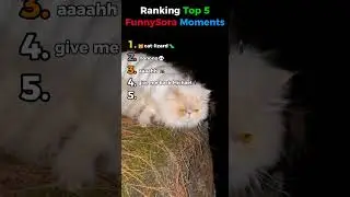 Top 5 Funniest Sora IA Moments EVER 😹💥