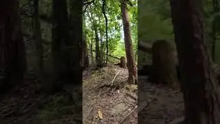 Hiking Mount Daimonji-Yama in Kyoto Japan September 2024 ✌️😎