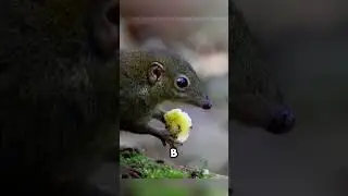 Он напивается каждый день. И это нормально