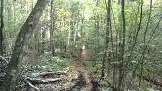 MOV04372