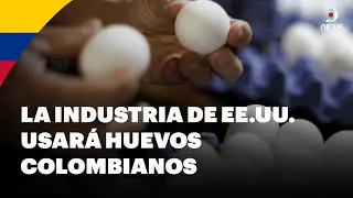 🇨🇴 El huevo colombiano conquista a Estados Unidos | DNews