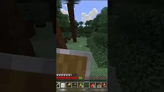 Knocker du Snitch 😡😱 #minecraft #vtuber #gaming #halloween #horror #shorts #funny #memes #gamer