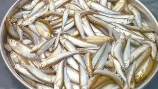 मसालेदार छोटी मछली । Aaj Bani Choti Machli Itni Tasty ki Sab Hairan!