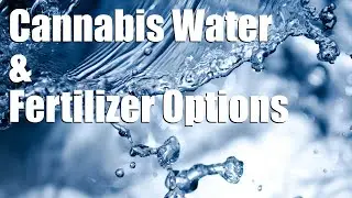 How To Water & Fertilize Cannabis From Seed To Flower