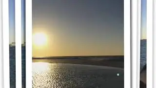 Local: Camping on Anclote Sandbar