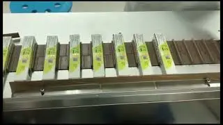 Disposable bag packing and cartoning with Tax stamp labeling production line