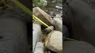 Moving boulders in search for Gold #adventure #goldrush #outdoors