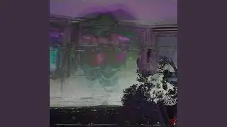 Under the Stars