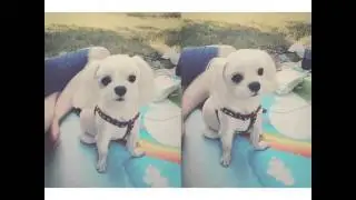 20150525 朴信惠박신혜 ssinz7 IG更新1