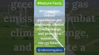 Bite-Sized Wisdom for a Greener Planet #naturenuggets #naturewisdom