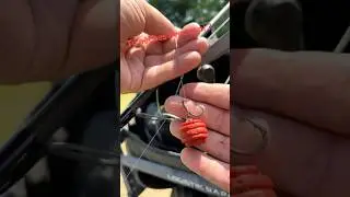 Tu p&ecirc;ches la carpe avec quoi ? #carpiste #carpfishing #carp #mack2  #fishing #fish #carpe
