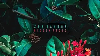 Zen Baboon - Curga Larva