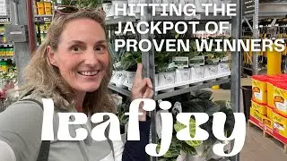 Proven Winners Leafjoy collection 🪴hitting the jackpot for houseplants