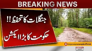 Government Takes Major Action to Protect Forests in Pakistan | Environmental Update