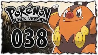Dem TODE nahe... | Pokémon Schwarz #038 (Nuzlocke) | Nestfloh