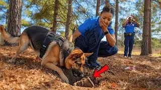 This K9 Never Gave Up Searching &mdash; What He Found 6 Years Later Shocked Everyone