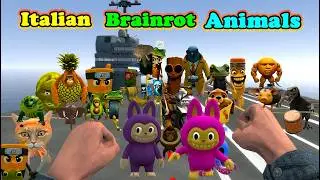 Gmod: Italian Brainrot Animals 3D & 2D Nextbots █ Garry's Mod █