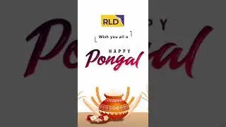 Pongal Celebrations at Royal Land Developers | Fun, Games, Gifts, & Team Spirit | Happy Pongal 2025