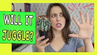 CACTUS : Will It Juggle?