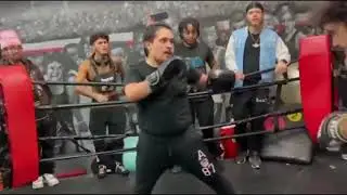 Maleek Jackson Boxing Hosts Dog Fights: No Headgear. No Mouthpieces. No Groin Protectors