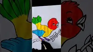 #sparrow #colour #fun #art #kidsbirds #birdsdrawing  #sparrowdrawing